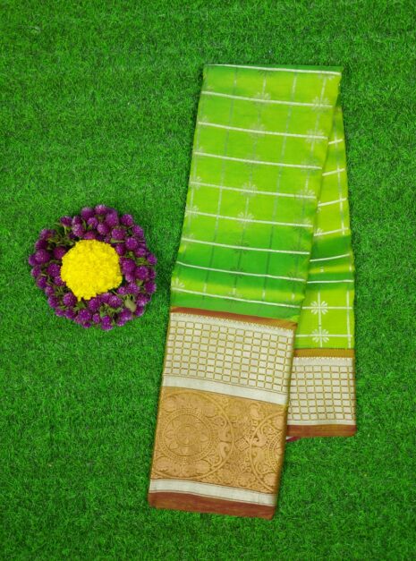 Kanchipuram-Green-Saree-Big-Border-1 Kanchipuram Green Saree Big Border