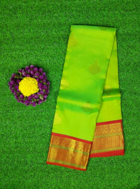 Kanchipuram-Green-Saree-Red-Border-1 Kanchipuram-Green-Saree-Red-Border-1