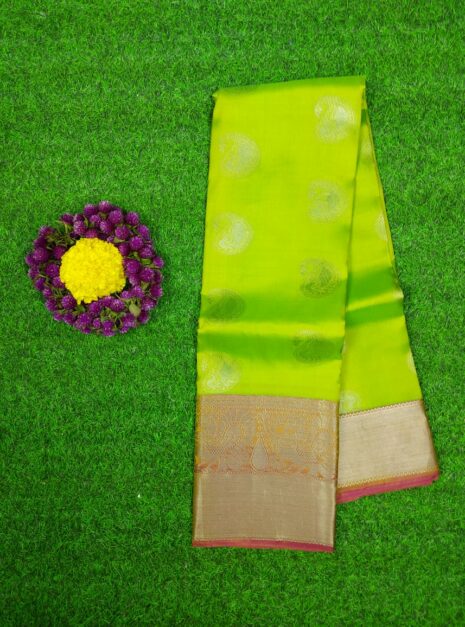 Kanchipuram-Green-Saree-Silver-Border-1 Kanchipuram-Green-Saree-Silver-Border-1