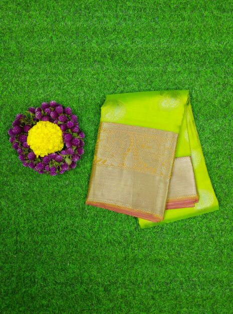 Kanchipuram Green Saree Silver Border